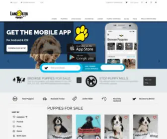 Nationalbulldogs.com(Puppies for Sale) Screenshot