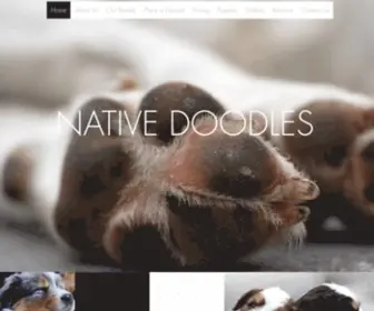 Nativedoodles.com(Native Doodles) Screenshot