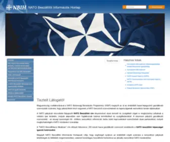 Natotender.gov.hu(Látogató) Screenshot
