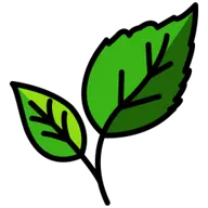 Natura-Bon.com Logo