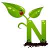 Naturabacau.ro Favicon