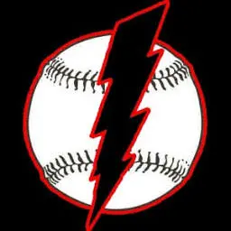 Naturalbaseball.com Favicon