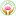 Naturalcaremd.com Favicon