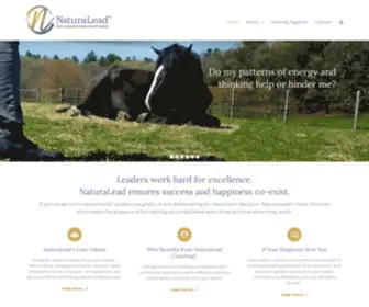 Naturalead.com(NaturaLead brings momentum to accomplished leaders who want more) Screenshot