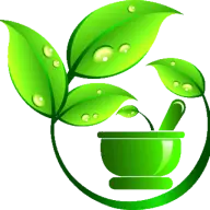 Naturalhealingguides.com Favicon