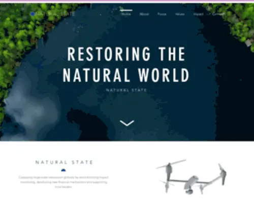Naturalstate.org(Natural State) Screenshot