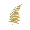 Nature-Autonomie.com Favicon
