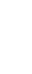 Natureboydesigns.com Logo