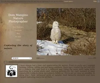 Natureinfocus.net(Dom Mangino) Screenshot