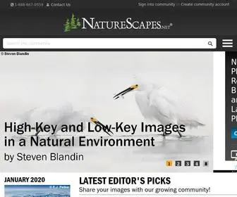 Naturescapes.net(Nature Photography Resource for Bird) Screenshot
