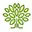 Naturesformulas.com Favicon