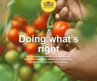 Naturesweet.com(Tomatoes Raised Right) Screenshot