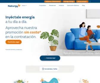 Naturgy.com.mx(Inicio ) Screenshot