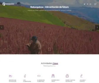 Naturquinoa.com(Quinoa instantanea) Screenshot