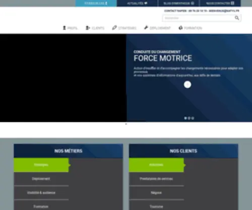 Natys.fr(Société de services numériques Toulouse) Screenshot