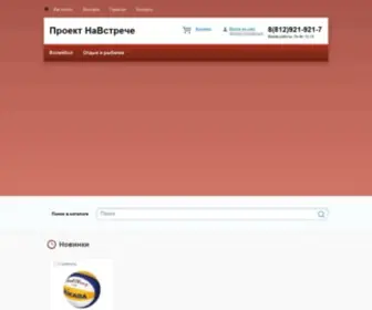 Navstreche.ru(НаВстрече) Screenshot