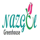 Naz-Gol.com Favicon