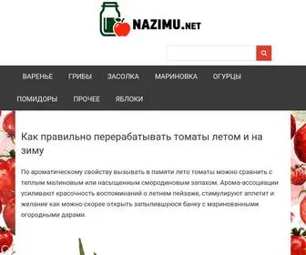 Nazimu.net(НаЗиму.нет) Screenshot
