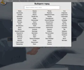 Nbiz.ru(быстрый поиск товаров и услуг в городе) Screenshot