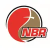 Nbreadymix.com Favicon