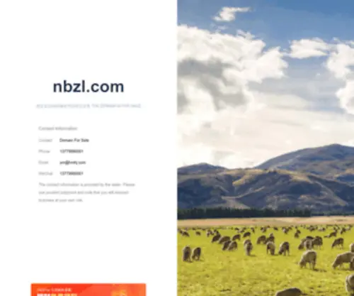 NBZL.com(宁波中蓝网络科技有限公司) Screenshot