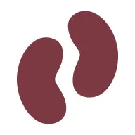 NCCR-Kidney.ch Favicon