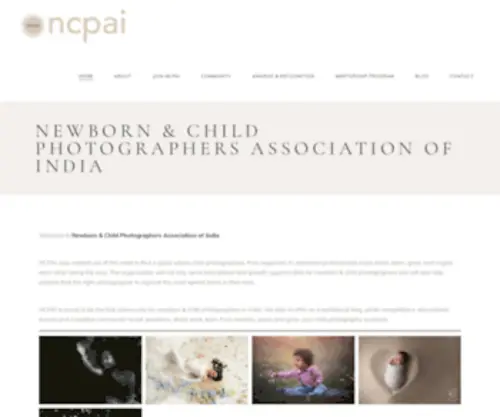 Ncpai.org(A tight knit community to support and nurture Artists passionate about Newborn and Child Photography) Screenshot