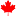 Ncro.ca Favicon