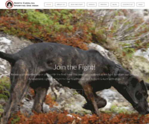 NCsportingdog.org(Protecting Your Heritage and Sports) Screenshot