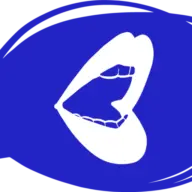 Ncvoices.com Logo