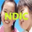 Ndic.jp Favicon