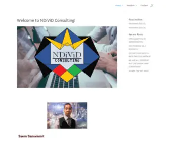 Ndivid.com(NDiViD Consulting) Screenshot