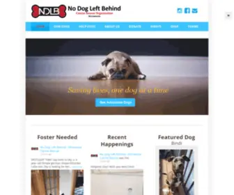 NDLbrescue.org(Saving lives) Screenshot