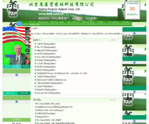 Neb.com.cn(Neb) Screenshot