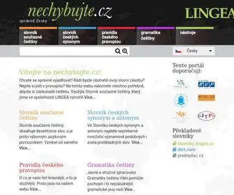NechybujTe.cz(Portál o českém jazyce) Screenshot