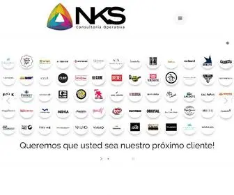 Necksize.com(Consultoria Operativa) Screenshot