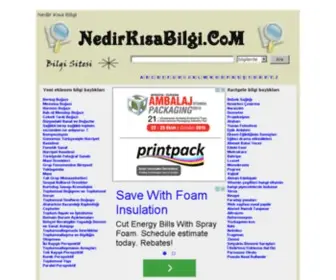 Nedirkisabilgi.com(Kısa) Screenshot