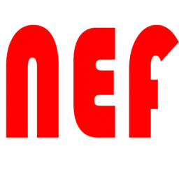 Neflink.com Favicon