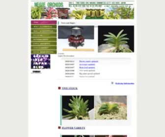 Negieorchids.com(NEGIE ORCHIDS) Screenshot