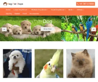 Negipetshops.com(Negi Pet Shop) Screenshot