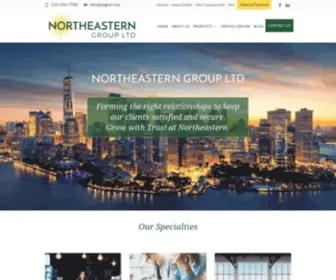 Negrp.com(Northeastern Group Ltd) Screenshot