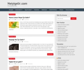 Neiyigelir.com(Yaşamınızı) Screenshot