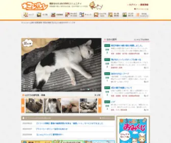 Neko-Jirushi.com(猫好きのためのSNS) Screenshot