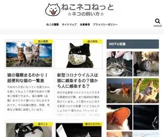 Nekoneco.net(猫のしつけ、健康とケアなど、猫) Screenshot