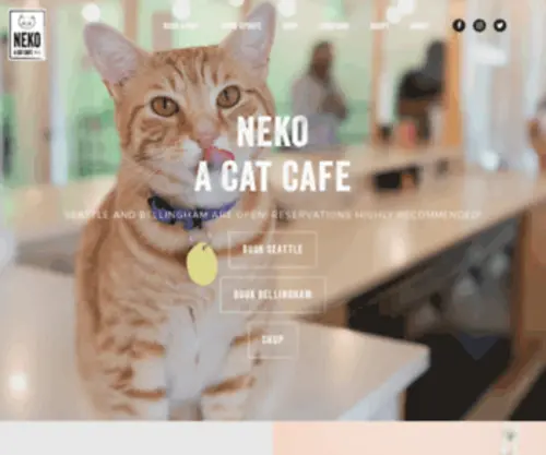Nekoseattle.com(NEKO: A Cat Cafe) Screenshot