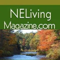 Nelivingmagazine.com Favicon