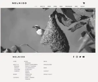 Nelnido-Web.com(株式会社ネルニード) Screenshot