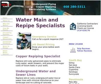 Nelsonplumbers.com(Repipe Specialists) Screenshot