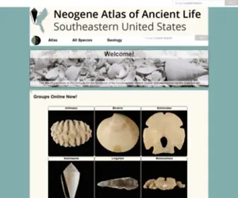 Neogeneatlas.net(Neogene Atlas of Ancient Life) Screenshot