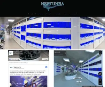 Neptunea.com(Neptunea SA) Screenshot